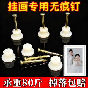 No-Drill Wedding Photo Frame Wall Hooks Picture Hanging Nails Traceless Hooks Artwork Storage Organizer Simple Style Resin Material