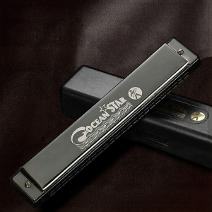Beginner Professional Friendly 24 Holes Diatonic C Key Harmonica