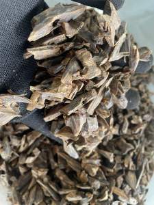 Kynam Oud Eksklusif Gred Super AA+ Kecil