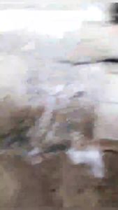 Promo Termurah!!! Tabung Sabun Salju Jet cleaner Snow Foam Lance dan Selang Moswel 10 Meter Terbaik