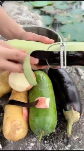 Peeler Pengupas Kulit Buah dan Sayur Bahan Stainless Steel Anti Karat