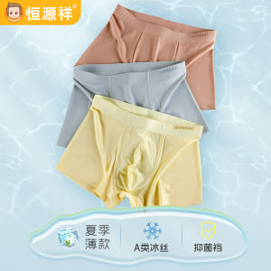 Hengyuanxiang Boys Ice Silk Cotton Underwear Breathable Antibacterial Summer Shorts Boxer Briefs Comfortable Innerwear for Kids