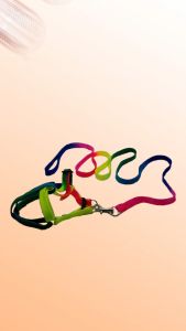 Terlaris Harnest Badan Kucing-Anjing-Kelinci Pelangi Ls23