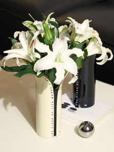 จัจจิ ดีไซน์ดั้งเดิม บ้าน ห้องนั่งเล่น โมเดิร์น ซีเรียส ตกแต่งโต๊ะ ตกแต่งด้วยอะคริลิก จุกดอกไม้ จัจจิ ดีไซน์ดั้งเดิม