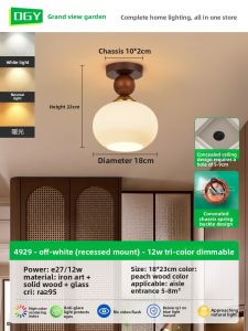 DGY | French Antique Wooden Corridor Ceiling Light