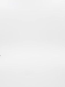 Wool and Tencel Blend Tapered Pants for Women