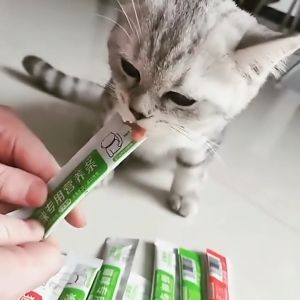 Cemilan Kucing Snack Kucing 15g/Strip Cat Treats Makanan Basah Pengemukan Cat Pelengkapa Hewan