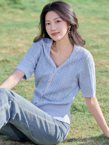 WANGGONGZHU | Princess Style Ice Silk Knitted Hollow Out Short Sleeve Womens T-Shirt Comfortable Slimming Overhead Top For Summer 2024