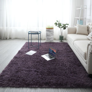 Simple New Fluffy Carpet