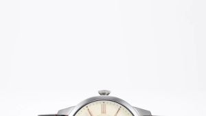 Fossil Mens Townsman Chronograph Watch ( ME3266 ) - Automatic Silver Case Round Dial 22 MM Brown Leather Band