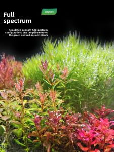 JiYin | Full Spectrum Waterproof Fish Tank Lighting Fixture