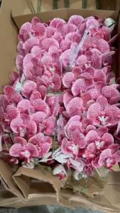 Bunga Anggrek Bulan Latex Cabang 9 - 1 PCS Bunga Anggrek Artificial - Bunga dekorasi pelaminan - bunga plastik