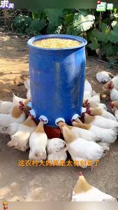 Combo 10 Đầu Ống Máng Ăn Cho Gia Cầm Chống Mưa Chống Nắng Chống Ẩm Ướt Chịu Nhiệt Ngoài Trời Tốt Dùng Trong Chăn Nuôi