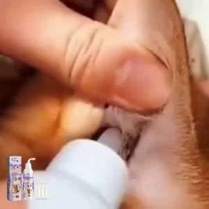 YEGBONG | Thuốc Làm Sạch Tai Cho Chó & Mèo - Giúp Khử Mùi Loại Bỏ Ráy Tai Làm Sạch Nhẹ Nhàng Ngăn Ngừa Ngứa Nhiễm Trùng Kiểm Soát Viêm Nhiễm