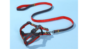 Tali Leher & Tali Anjing/Kucing – Pet Leash Rope with Collar for Dog Cat Walking Lead Set 宠物牵引绳狗绳胸背带