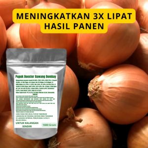 Pupuk Booster Bawang Bombay Pelebat Organik Cepat Berbuah Lebat Besar Anti Rontok Pembesar Bawang
