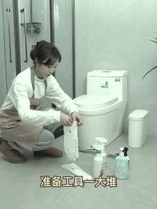 Bàn Chải Vệ Sinh Toilet Không Góc Chết Hủy Bỏ Được 6 Cây