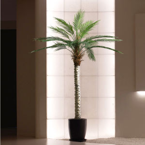 Luxury Indoor Decorative Artificial Cycas Large Floor Plant
