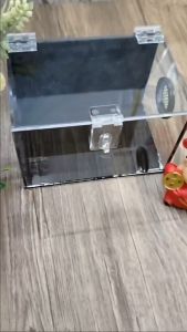 Hộp mica nuôi bọ cạp nhện kích thước 15-10-10cm (thông khí ô lưới)