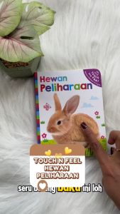 My First Touch and Feel HEWAN PELIHARAAN Board Book (Bahasa Indonesia - Inggris)