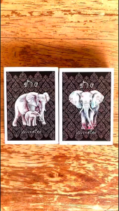 Matchsticks:ไม้ขีดไฟ เพิ่มความสว่าง สำหรับใช้จุดเทียนหอม ของชำร่วย ราคาถูก match box จำนวน 40 ก้าน