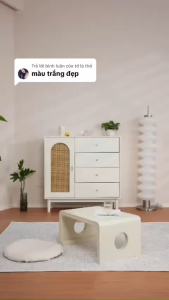 Sơn Gỗ Màu Trắng và Màu Đen Cao Cấp Tophousegốc Acrylic bảo vệ bề mặt gỗ không mùi an toàn kháng nước