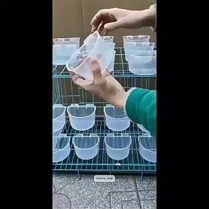 Hanging Chicken and Pigeon Water Feeder Long Round Food Trough
