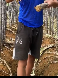 Pisau Pengupas Tebu / Pisau Kupas Kulit Nanas / Pineapple Knife / Pisau Pemotong Buah