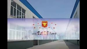 Instax Photo Paper with White Border Priority Shipping for Collection