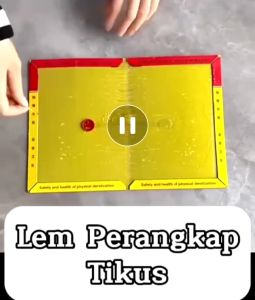 Lem Perangkap Tikus Model Buku / Alat Penangkap Pembunuh Pengusir Curut Kecoa Cicak Siap Pakai / Mouse Glue Trap