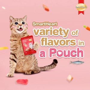 Smartheart Adult Cat Wet Food Pouch w/ DHA & Omega-3 | 80-85g (8 Variety Flavours)