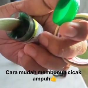 D.O Cak obat racun pembasmi pembunuh cucak cicak herbal oles paling ampuh original gratis ongkir