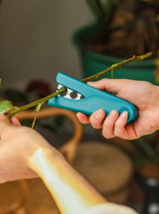 Rose Thorn Remover & Fresh Flower Pruning Tool: Essential Floral Design Materials