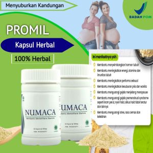 Obat Promil Program Hamil Suami Istri Paling Ampuh Cepat Hamil Dalam 2 Minggu Numaca Hwi Original 100%
