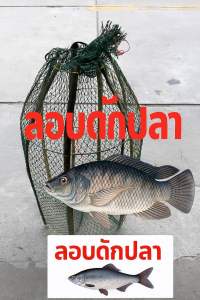 ลอบตั้งดักปลา ดักได้เยอะ แข็งแรงคงทน สูง65