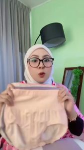 Dreamtale Seluar Dalam Wanita Women Panties 5Pcs High Waist Colourful Panties Women Underwear Ladies Panties Spender Wanita WCO300