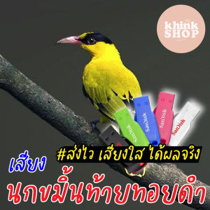 แฟลชไดร์ฟเสียงต่อนกขมิ้นท้ายทอยดํา เสียงนกขมิ้นท้ายทอยดํา เสียงต่อนกขมิ้นท้ายทอยดํา เมมเสียงนกขมิ้นท้ายทอยดํา