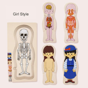 Montessori Wooden Multi-layer Puzzle Human Body Structure Jigsaw Game Boys Girls Early Educational Toys For Children Kids
