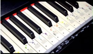 InStock 88/61/54/49/37 Keys Piano Keyboard Removable Sticker