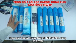 Trọn bộ 9 lõi lọc nước Karofi 123456789 model B930N-e239