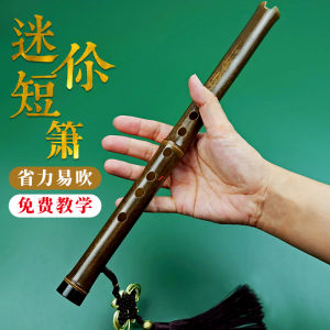 Portable Entry Chinese Bamboo Flute Zero Foundation Black Bamboo Short Xiao Classy Mini Xiao Di Chinese Ancient Style Six-Hole C Key Xiao Musical Instrument D Xiao