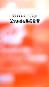 BUY 1 GET 2 BONITA Himalayan Pink Salt Face & Body Oil SPF30 UVA 100ml