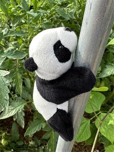Magnet Lesser Panda Doll Refridgerator Magnets Cute Leaning Bear Cats Plush Toy Stylish Magnetic Paste Birthday Gift