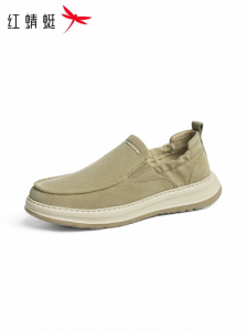 Reddragonfly | Spring New Men Slip-on Breathable Casual Walking Shoes