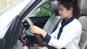 Gối Tựa Lưng Tựa Đầu cho xe Ô Tô (Chất Liệu Cao Su Non Nỉ Cao Cấp Thông Hơi Siêu Đàn Hồi)
