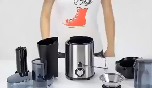 PONY powerful electric Juice Extractor Juicer Blender Fruit Vegetable Slow Juicer Machine 800W 3 Speed