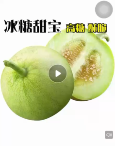 Biji Benih Melon Jepun Manis (15 Seeds )/日本甜瓜籽 /Honeydew Japan Seeds