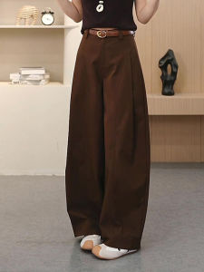 Trendy Side Pleated Wide Leg Pants Womens Loose Hip Covering Casual Straight Blade Pants High Waist Autumn 2025 New Style