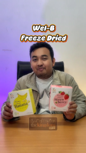 Wel-B Freeze Dried Fruits Strawberry 25g Baby Food Makanan Snack Bayi