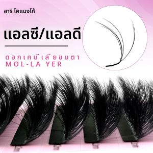 CoMango L + C/D Multi-Layer 3D Camellia Eyelashes EXTENSION Wispy Fluffy Volume Lashes นุ่มธรรมชาติ Premade แฟน